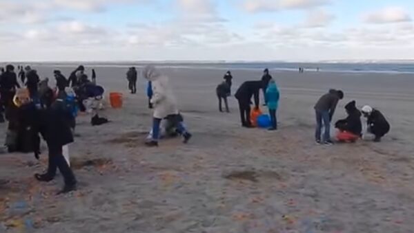 Ljudi sakupljaju kinder-jaja na obali nemačkog ostrva Langeoga - Sputnik Srbija