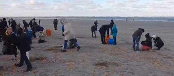 Људи сакупљају киндер-јаја на обали немачког острва Лангеога Људи сакупљају киндер-јаја на обали немачког острва Лангеога - Sputnik Србија