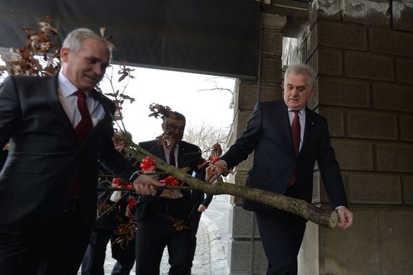 Predsednik Srbije Tomislav Nikolić unosi badnjak u zgradu Generalnog sekretarijata predsednika Republike Predsednik Srbije Tomislav Nikolić unosi badnjak u zgradu Generalnog sekretarijata predsednika Republike - Sputnik Srbija