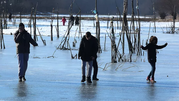 Zaleđen Dunav - Sputnik Srbija