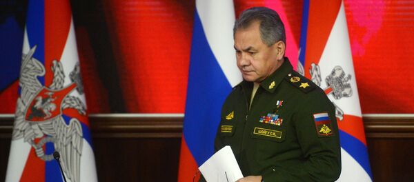 Ministar odbrane Rusije Sergej Šojgu - Sputnik Srbija