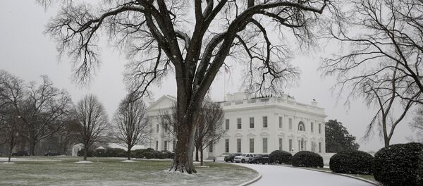 Бела кућа под снегом - Sputnik Србија