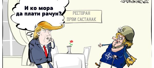 NATO kao prevaziđena organizacija - Sputnik Srbija