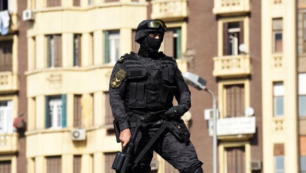 Египатски полицајац - Sputnik Србија