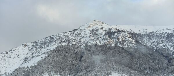 Put za Montreale nakon što je zemljotres pogodio ovu italijansku oblast. - Sputnik Srbija