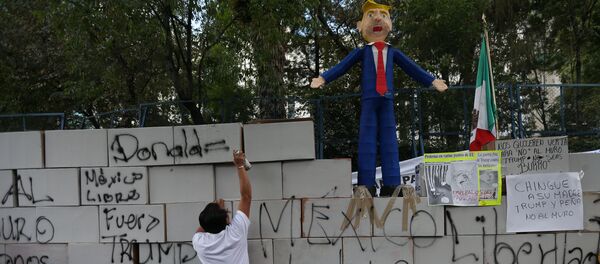 Demonstrant ispisuje grafit na simboličnom zidu ispred američke ambasade u Meksiko Sitiju Demonstrant ispisuje grafit na simboličnom zidu ispred američke ambasade u Meksiko Sitiju - Sputnik Srbija