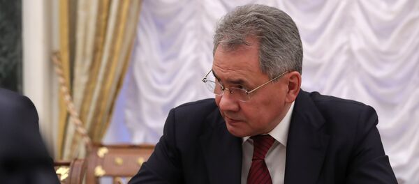 Министар одбране Русије Сергеј Шојгу Министар одбране Русије Сергеј Шојгу - Sputnik Србија