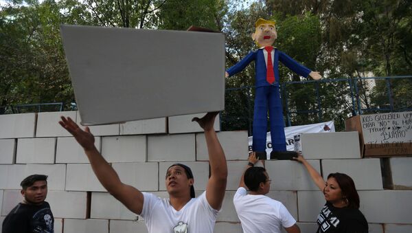 Протести у Мексику против америчког зида - Sputnik Србија