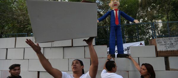 Protesti u Meksiku protiv američkog zida Protesti u Meksiku protiv američkog zida - Sputnik Srbija