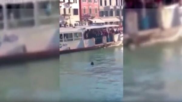 Избеглица се удавио у Венецији - Sputnik Србија