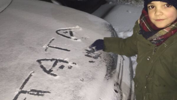 Богдан, син Оливера и Милене Ивановић, написао у снегу на хауби аутомобила тата - Sputnik Србија