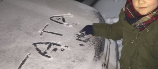 Bogdan, sin Olivera i Milene Ivanović, napisao u snegu na haubi automobila tata Bogdan, sin Olivera i Milene Ivanović, napisao u snegu na haubi automobila tata - Sputnik Srbija