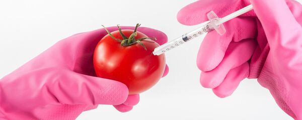 ГМО парадајз - Sputnik Србија