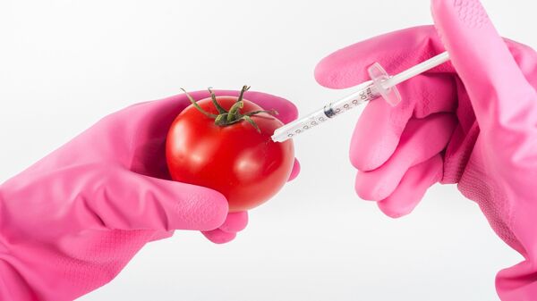 GMO paradajz - Sputnik Srbija