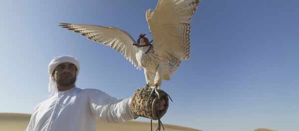 Arapin drži sokola - Sputnik Srbija