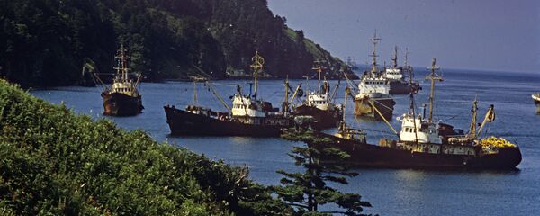 Лука Отрадна, Курилска острва Лука Отрадна, Курилска острва - Sputnik Србија