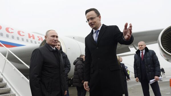 Predsednik Rusije Vladimir Putin i ministar spoljnih poslova Mađarske Peter Sijarto na aerodromu Franc List u Budimpešti - Sputnik Srbija