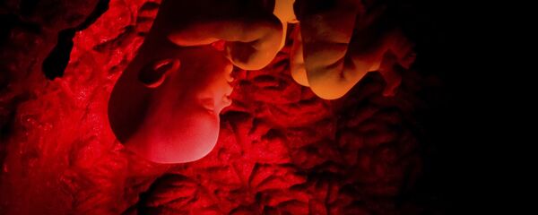 Embrion Embrion - Sputnik Srbija