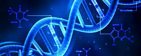 ДНК ДНК - Sputnik Србија