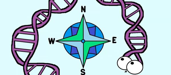 ДНК - илустрација ДНК - илустрација - Sputnik Србија