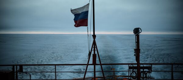 Arctic Ocean. (File) Arctic Ocean. (File) - Sputnik Srbija