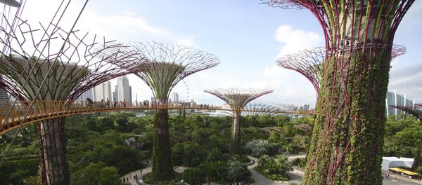 Башта поред залива у Сингапуру - Sputnik Србија