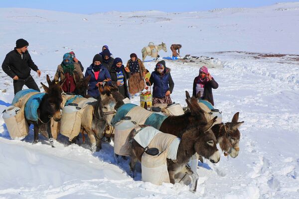 Становници Ђуверчина довлаче на магарцима воду за пиће - Sputnik Србија