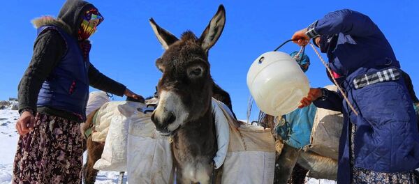 Становници Ђуверчина Становници Ђуверчина - Sputnik Србија