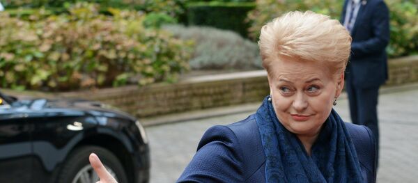 Председница Литваније Даља Грибаускајте пре отварања самита ЕУ у Бриселу Председница Литваније Даља Грибаускајте пре отварања самита ЕУ у Бриселу - Sputnik Србија