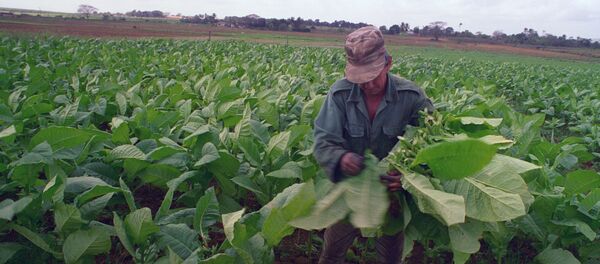 Poljoprivreda Poljoprivreda - Sputnik Srbija