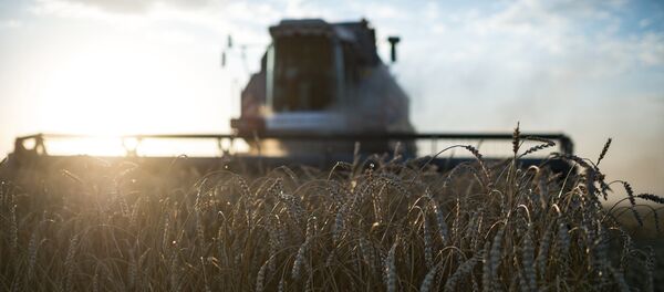 Комбајн - Sputnik Србија