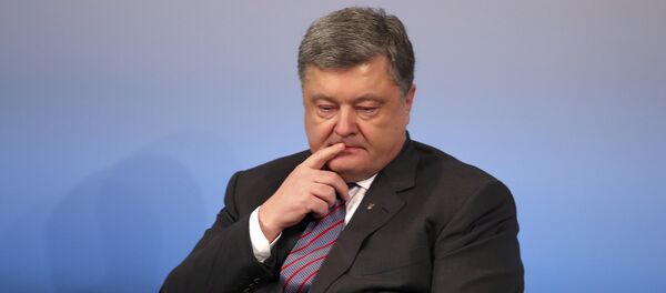 Председник Украјине Петро Порошенко на Минхенској конференцији - Sputnik Србија