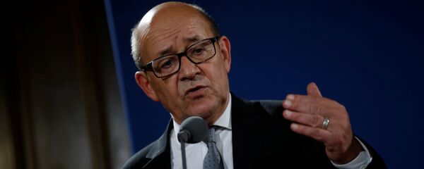 Mинистар одбране Француске Жан-Ив ле Дријан - Sputnik Србија
