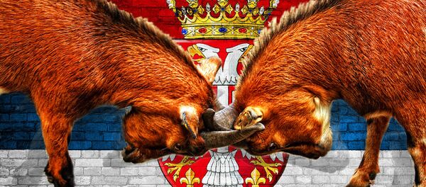 Туча два јарца - илустрација - Sputnik Србија