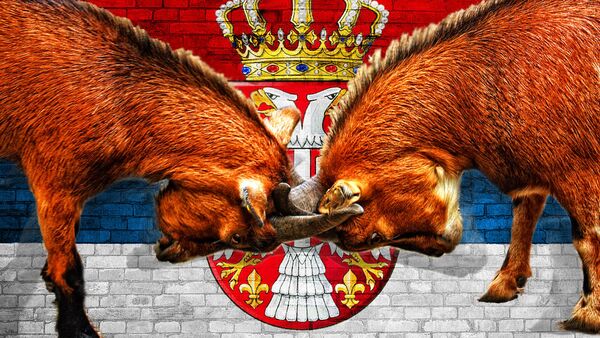 Tuča dva jarca - ilustracija - Sputnik Srbija