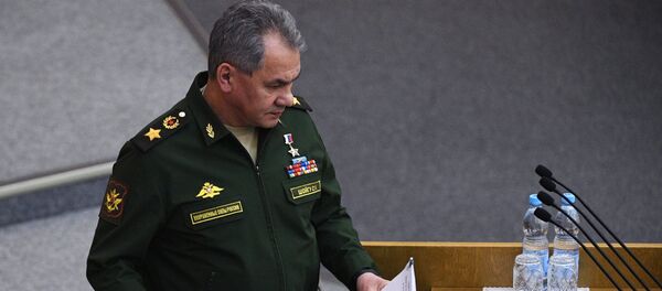 Ministar odbrane Rusije Sergej Šojgu - Sputnik Srbija