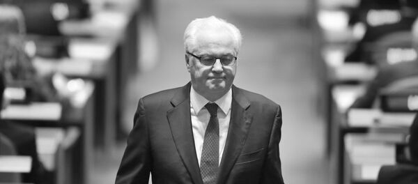 Vitalij Čurkin - Sputnik Srbija