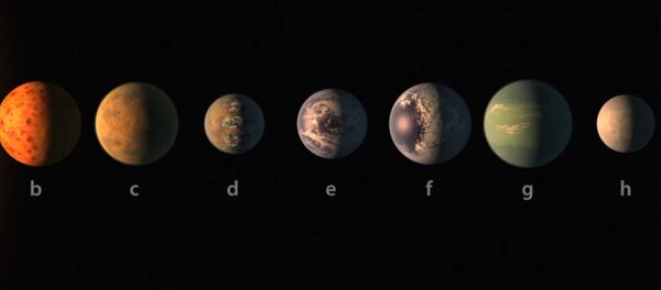 НАСА је саопштила да су астрономи открили нови звездани систем који је удаљен око 40 светлосних година од Земље. Систем је назван „Трапист 1“ и у њему постоји чак седам планета сличних Земљи, које круже око патуљасте звезде. - Sputnik Србија