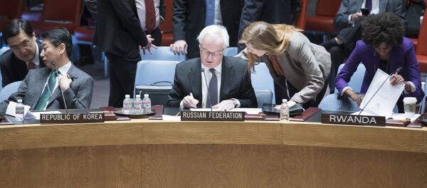 Samanta Pauer i Vitalij Čurkin u UN - Sputnik Srbija