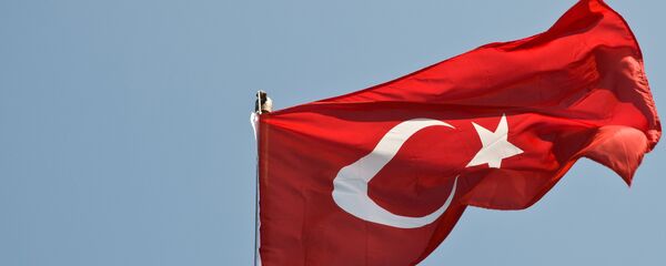 Застава Турске - Sputnik Србија