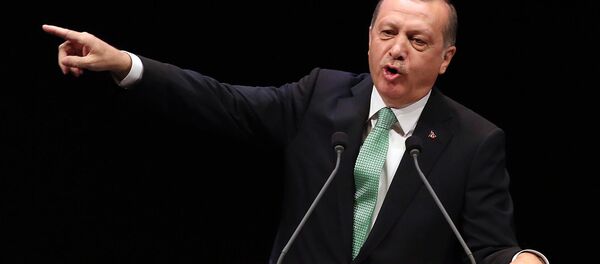 Predsednik Turske Redžep Tajip Erdogan - Sputnik Srbija