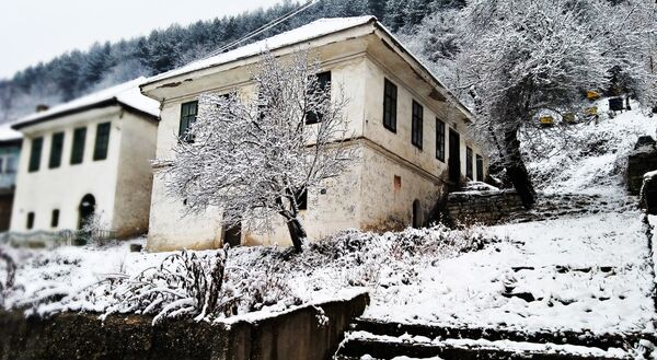 Кућа породице Берберијан-Ристић, сведок наше националне историје и културе о коме, на жалост, држава не брине Кућа породице Берберијан-Ристић, сведок наше националне историје и културе о коме, на жалост, држава не брине - Sputnik Србија