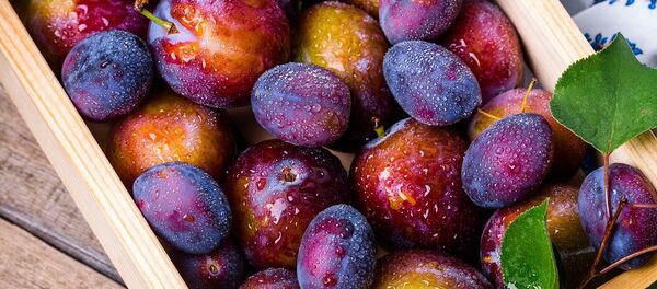 Шљиве - Sputnik Србија