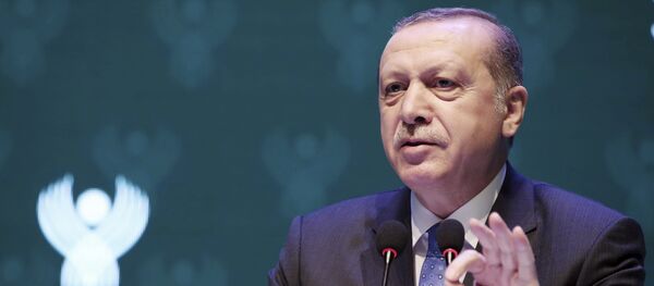 Председник Турске Реџеп Тајип Ердоган на састанку у Истанбулу - Sputnik Србија