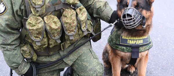 Ruska garda Ruska garda - Sputnik Srbija