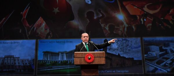 Predsednik Turske Redžep Tajip Erdogan na mitingu u Ankari - Sputnik Srbija