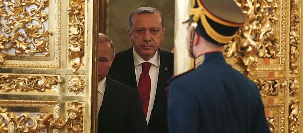 Реџеп Тајин Ердоган и Владимир Путин снимљени у Кремљу Реџеп Тајин Ердоган и Владимир Путин снимљени у Кремљу - Sputnik Србија