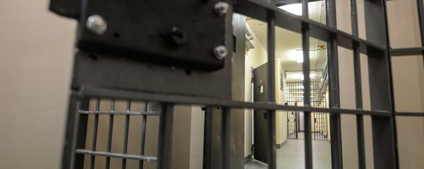 Pritvorska jedinica zatvora u Moskvi - Sputnik Srbija