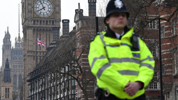 Полиција после пуцњаве у Лондону 22.03.2017. - Sputnik Србија