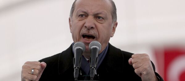 Председник Турске Реџеп Тајип Ердоган - Sputnik Србија